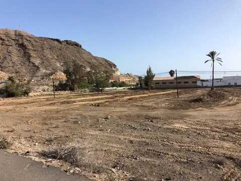 Desbroce de una parcela en Tauro — foto 6