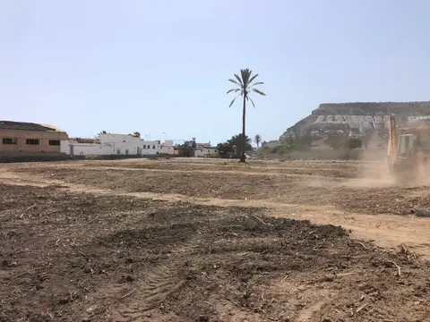 Desbroce de una parcela en Tauro — foto 8