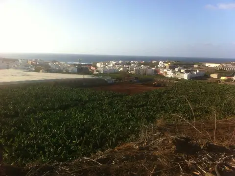 Preparación de terreno agrícola en la Finca Bañaderos — foto 12